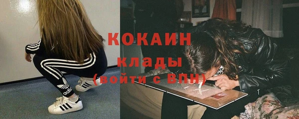 тгк Абаза